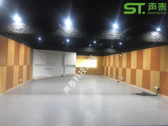 東莞影音室聲學(xué)工程案例(圖3) 東莞影音室聲學(xué)工程案例(圖3)