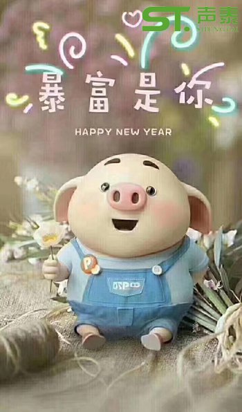 聲泰(佛山)全體員工恭祝大家2019新春快樂(圖7) 聲泰(佛山)全體員工恭祝大家2019新春快樂(圖7)