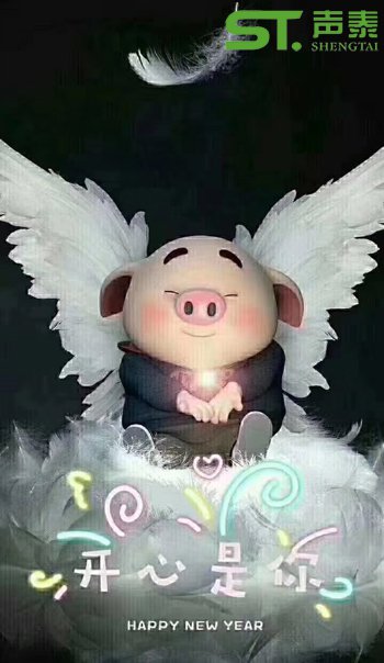 聲泰(佛山)全體員工恭祝大家2019新春快樂(圖4) 聲泰(佛山)全體員工恭祝大家2019新春快樂(圖4)