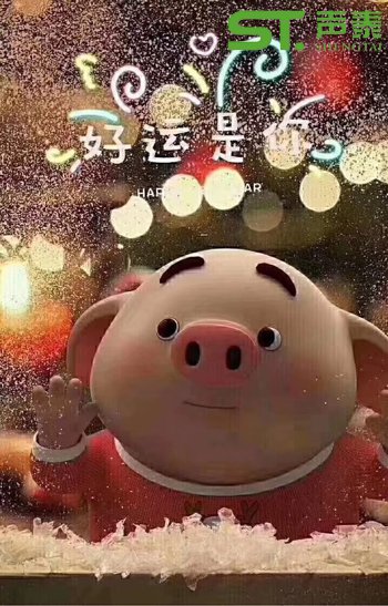 聲泰(佛山)全體員工恭祝大家2019新春快樂(圖5) 聲泰(佛山)全體員工恭祝大家2019新春快樂(圖5)